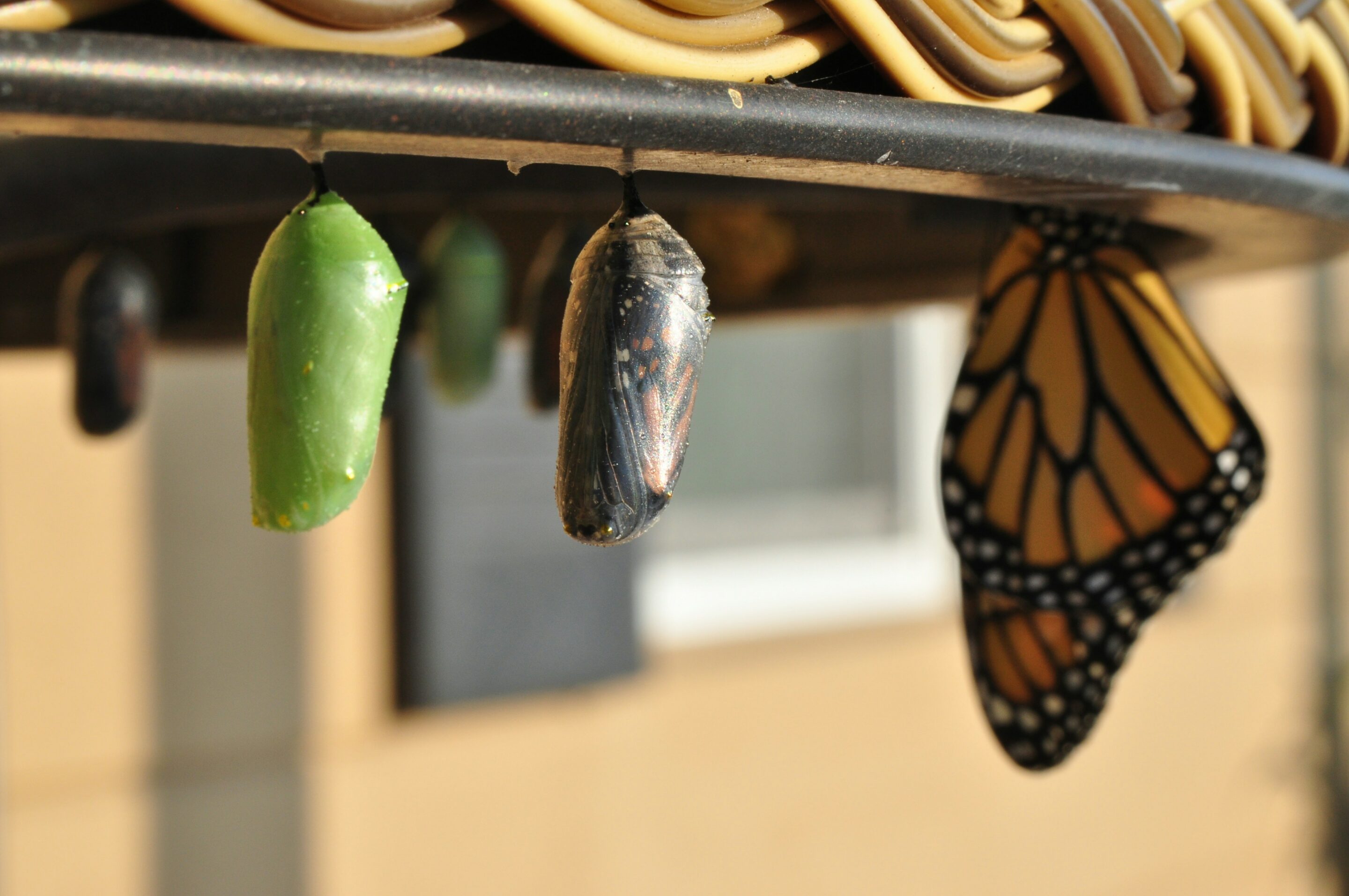 Programme de transformation
